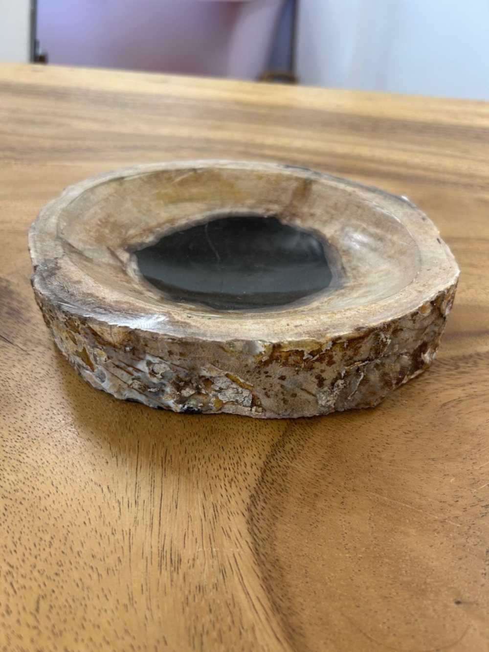 Petrified Wood Decorative Bowl - Picture 9 of 17